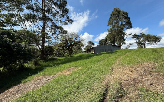 Venta de Terreno de 34.945 m2, Bastante Plano y en la Hermosa Zona Agrícola de Platanares de Moravia COD 141484