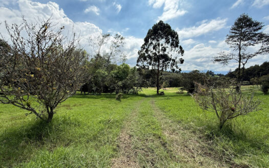 Venta de Terreno de 34.945 m2, Bastante Plano y en la Hermosa Zona Agrícola de Platanares de Moravia COD 141484