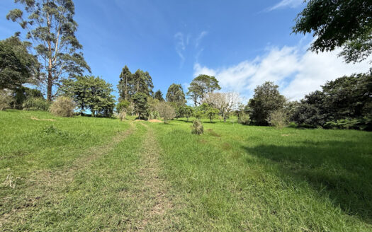 Venta de Terreno de 34.945 m2, Bastante Plano y en la Hermosa Zona Agrícola de Platanares de Moravia COD 141484