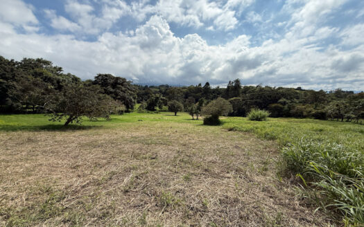 Venta de Terreno de 34.945 m2, Bastante Plano y en la Hermosa Zona Agrícola de Platanares de Moravia COD 141484