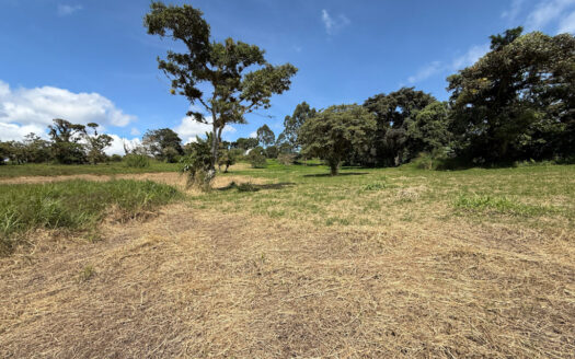 Venta de Terreno de 34.945 m2, Bastante Plano y en la Hermosa Zona Agrícola de Platanares de Moravia COD 141484