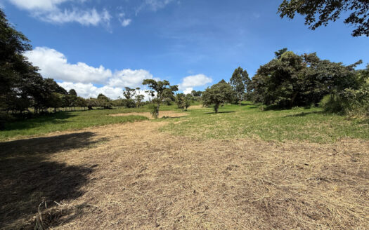 Venta de Terreno de 34.945 m2, Bastante Plano y en la Hermosa Zona Agrícola de Platanares de Moravia COD 141484