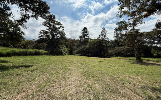 Venta de Terreno de 34.945 m2, Bastante Plano y en la Hermosa Zona Agrícola de Platanares de Moravia COD 141484