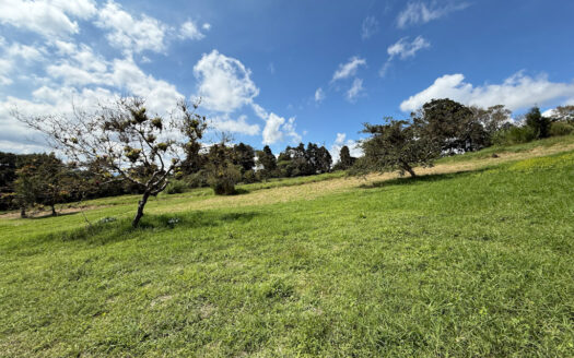 Venta de Terreno de 34.945 m2, Bastante Plano y en la Hermosa Zona Agrícola de Platanares de Moravia COD 141484