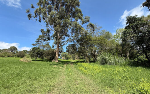 Venta de Terreno de 34.945 m2, Bastante Plano y en la Hermosa Zona Agrícola de Platanares de Moravia COD 141484