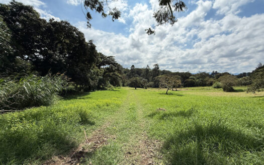 Venta de Terreno de 34.945 m2, Bastante Plano y en la Hermosa Zona Agrícola de Platanares de Moravia COD 141484
