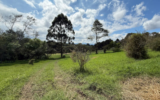 Venta de Terreno de 34.945 m2, Bastante Plano y en la Hermosa Zona Agrícola de Platanares de Moravia COD 141484