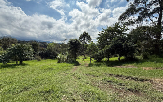 Venta de Terreno de 34.945 m2, Bastante Plano y en la Hermosa Zona Agrícola de Platanares de Moravia COD 141484