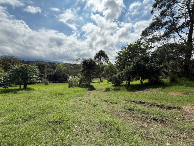 Imagen 26