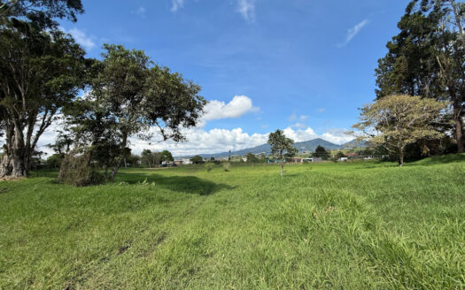 Venta de Terreno de 34.945 m2, Bastante Plano y en la Hermosa Zona Agrícola de Platanares de Moravia COD 141484