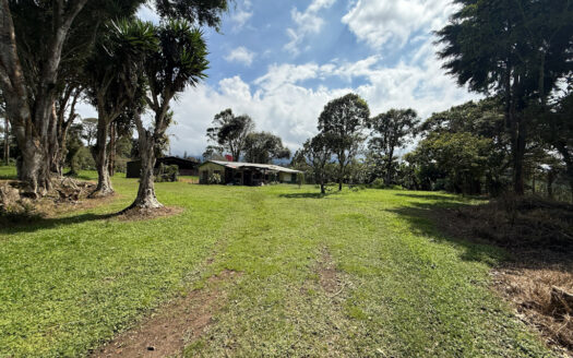 Venta de Terreno de 34.945 m2, Bastante Plano y en la Hermosa Zona Agrícola de Platanares de Moravia COD 141484