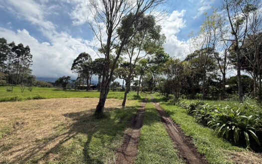 Venta de Terreno de 34.945 m2, Bastante Plano y en la Hermosa Zona Agrícola de Platanares de Moravia COD 141484