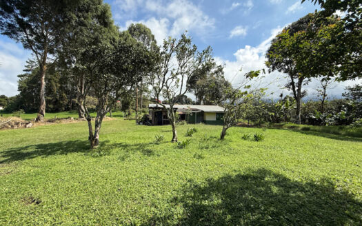 Venta de Terreno de 34.945 m2, Bastante Plano y en la Hermosa Zona Agrícola de Platanares de Moravia COD 141484