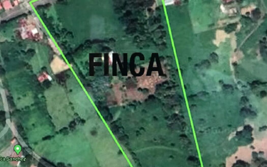 Venta de Terreno de 34.945 m2, Bastante Plano y en la Hermosa Zona Agrícola de Platanares de Moravia COD 141484