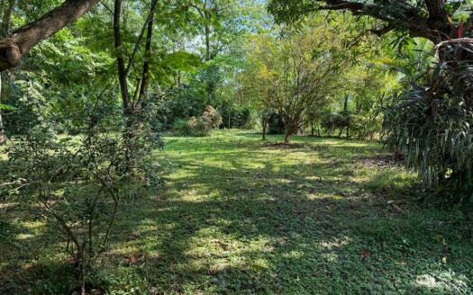 Casita cerca del mar en Cabuya 🌿🌊 COD: 143341