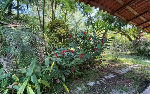 Casita cerca del mar en Cabuya 🌿🌊 COD: 143341