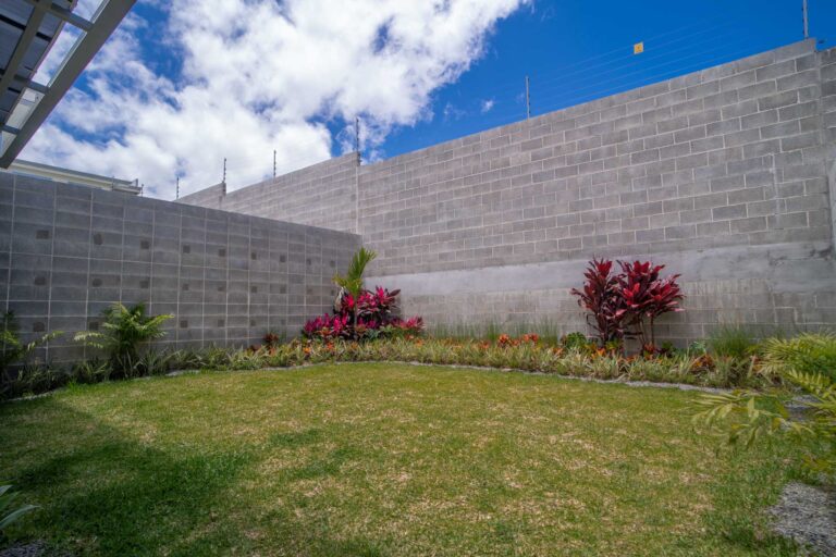 Imagen 8