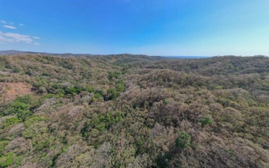 61 Ha con Vista al Mar y Río cerca de Marbella 🌿 COD: 143207