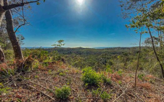 61 Ha con Vista al Mar y Río cerca de Marbella 🌿 COD: 143207