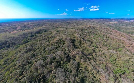 61 Ha con Vista al Mar y Río cerca de Marbella 🌿 COD: 143207