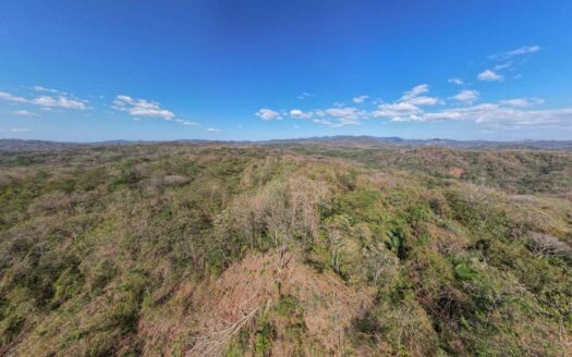 61 Ha con Vista al Mar y Río cerca de Marbella 🌿 COD: 143207