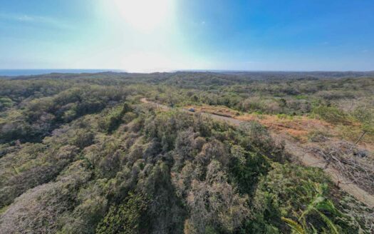 61 Ha con Vista al Mar y Río cerca de Marbella 🌿 COD: 143207