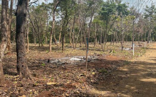 Lotes en Comunidad Privada cerca de Playa Avellanas Pre-Venta🌿 COD:143248