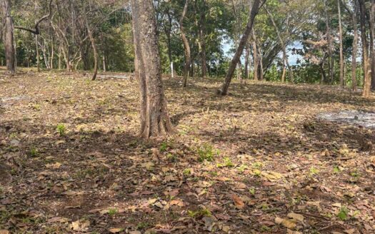 Lotes en Comunidad Privada cerca de Playa Avellanas Pre-Venta🌿 COD:143248