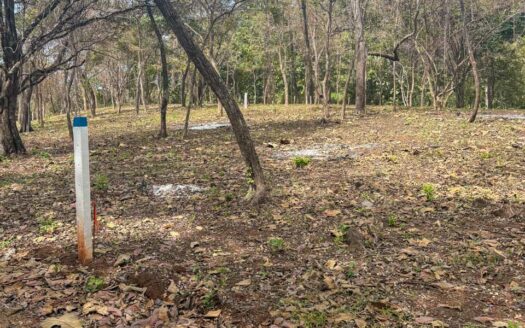 Lotes en Comunidad Privada cerca de Playa Avellanas Pre-Venta🌿 COD:143248