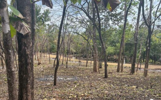 Lotes en Comunidad Privada cerca de Playa Avellanas Pre-Venta🌿 COD:143248