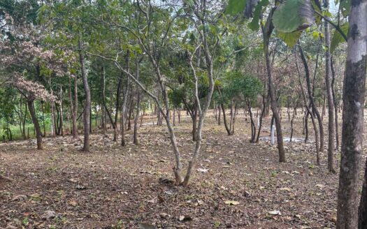 Lotes en Comunidad Privada cerca de Playa Avellanas Pre-Venta🌿 COD:143248