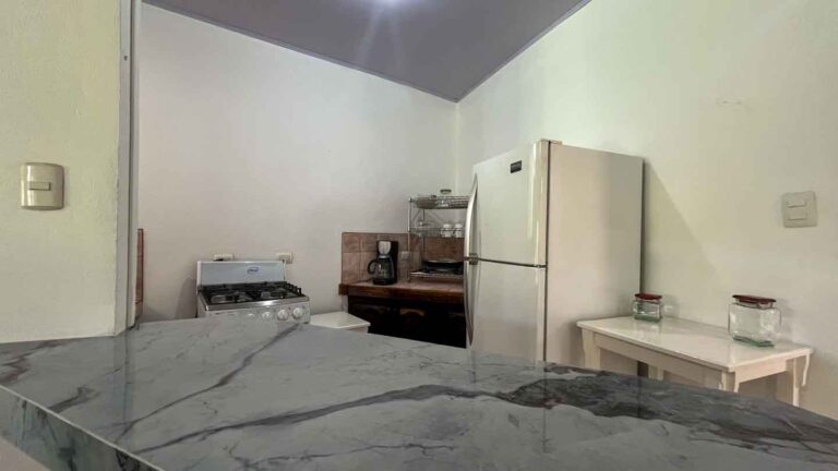 Imagen 6