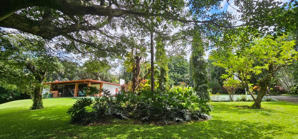 Características de la propiedad