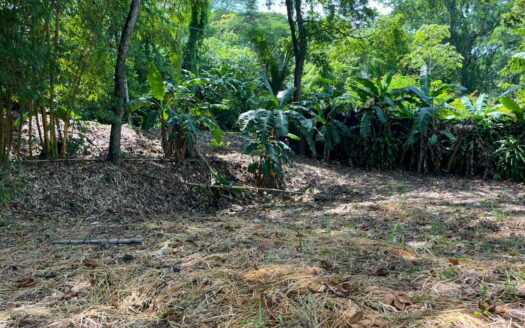 Elevated Valley-View Lot Near Playa Hermosa 🌿🌊COD: 143335