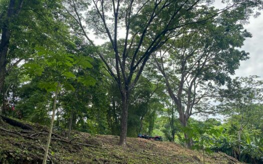 Elevated Valley-View Lot Near Playa Hermosa 🌿🌊COD: 143335