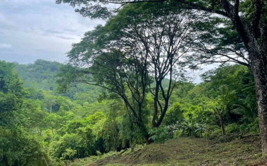 Elevated Valley-View Lot Near Playa Hermosa 🌿🌊COD: 143335