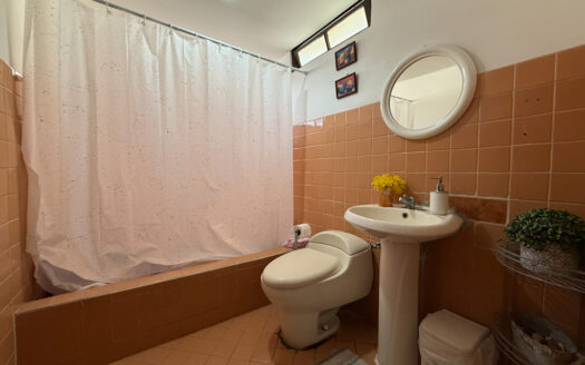 Casa y Apartamento Cerca del Estadio Coyella Fonseca, Guadalupe, Goicoechea COD 142371