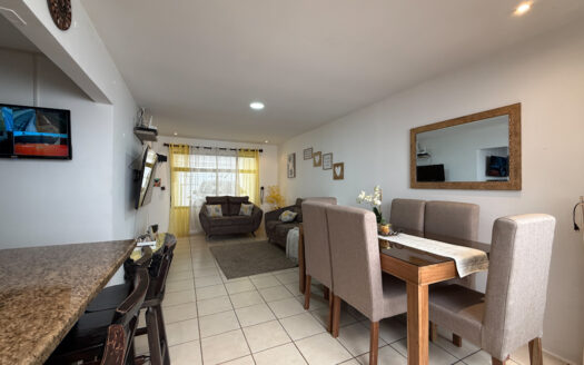 Casa y Apartamento Cerca del Estadio Coyella Fonseca, Guadalupe, Goicoechea COD 142371