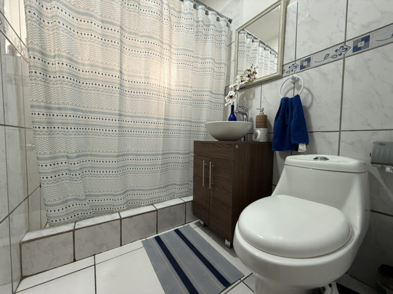 Imagen 13