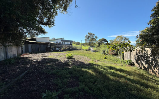 Lote de 1.096 m2 Bastante Plano en la Hermosa Zona Agrícola de Patio de Agua, Coronado COD 142321