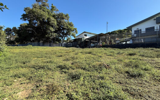 Lote de 1.096 m2 Bastante Plano en la Hermosa Zona Agrícola de Patio de Agua, Coronado COD 142321