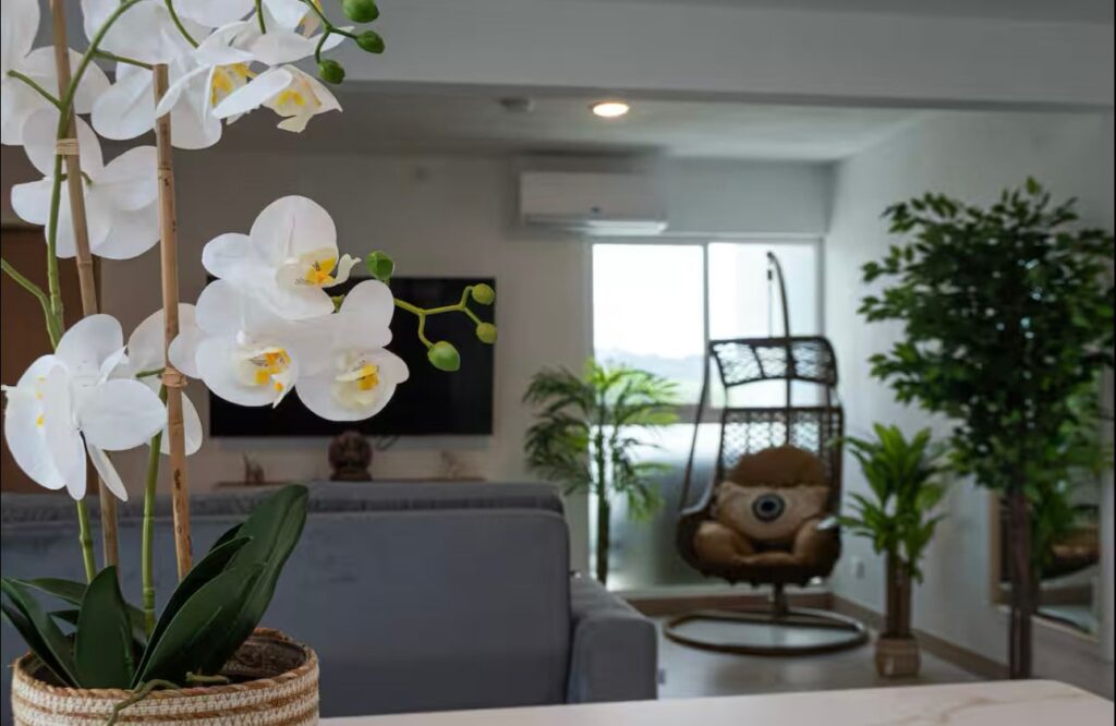 Características de la propiedad