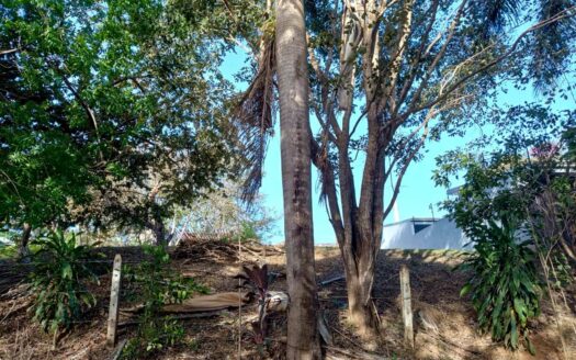 Flat Lot 900 m from the Ocean in Marbella | Public Road Frontage 🌊🌿 COD:142318