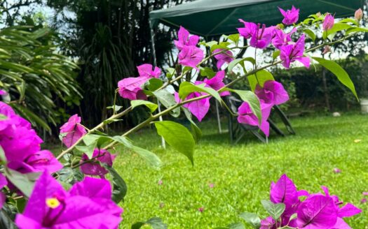 La oportunidad de comprar la casa de sus sueños con una vista increíble de día y de noche solo en Escazú, Cód 142251