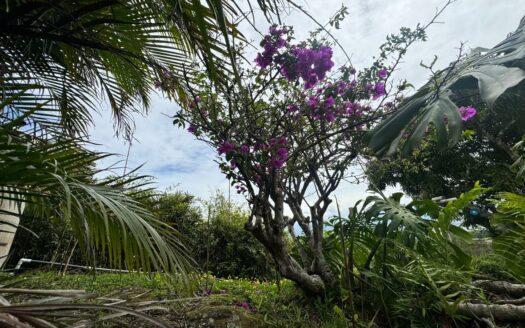 La oportunidad de comprar la casa de sus sueños con una vista increíble de día y de noche solo en Escazú, Cód 142251