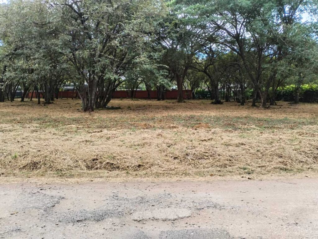 Características de la propiedad