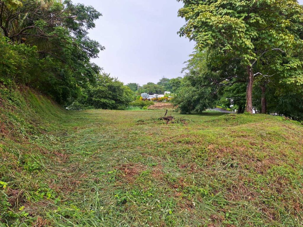 Características de la propiedad