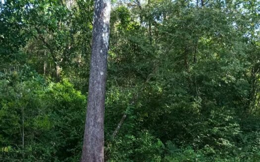 61 Ha con Vista al Mar y Río cerca de Marbella 🌿 COD: 143207