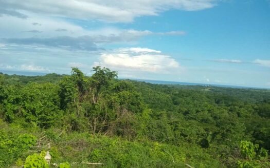 61 Ha con Vista al Mar y Río cerca de Marbella 🌿 COD: 143207