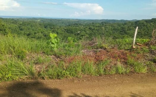 61 Ha con Vista al Mar y Río cerca de Marbella 🌿 COD: 143207